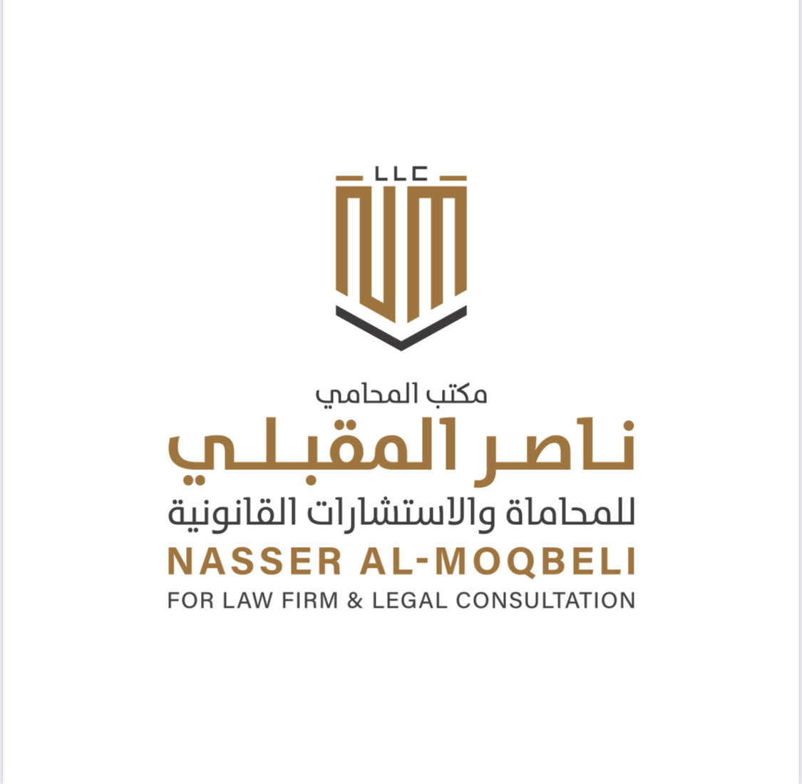 تأسيس الشركات 